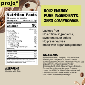 Rich & Creamy Chocolate