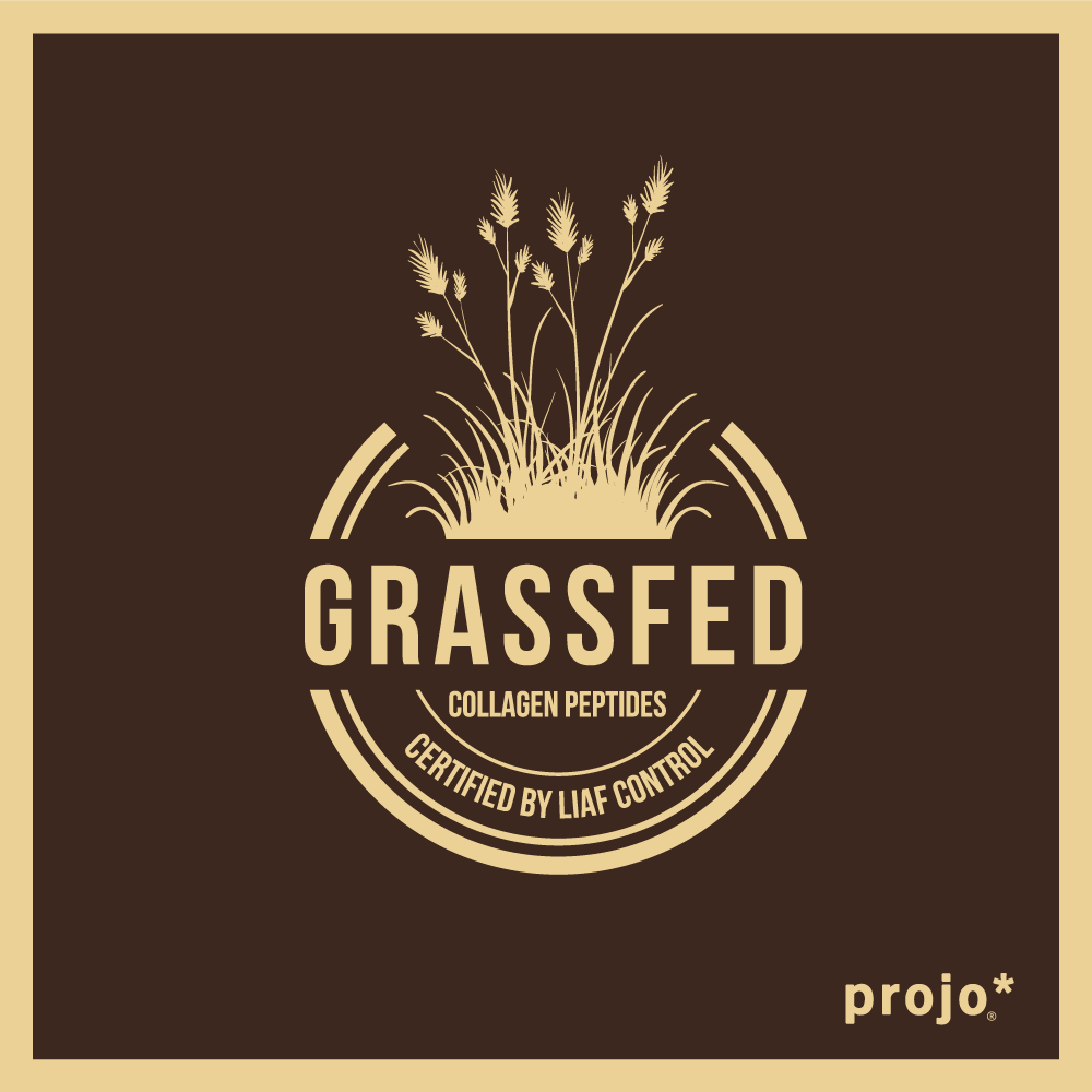 6 pack of Mocha Latte